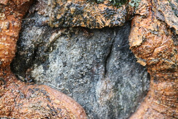 stone wall background