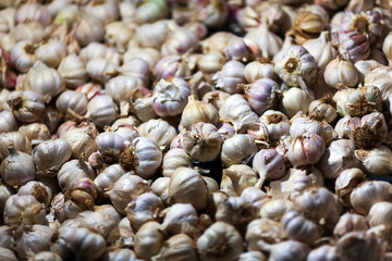 Organic Garlic Full Frame background