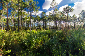 Oxbow eco-center, Fort Pierce, Florida