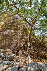cañon de Zacualpan