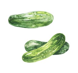 Set of cucumbers on a white background. Food vegetables illustration.