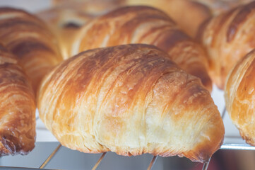 Freshly backed french croissant shiny in the rays of the morning sun,natural light