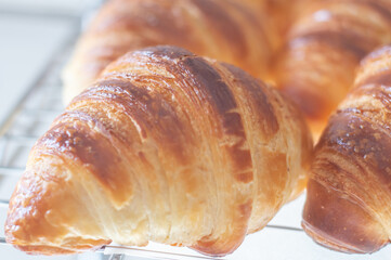 Freshly backed french croissant shiny in the rays of the morning sun,natural light