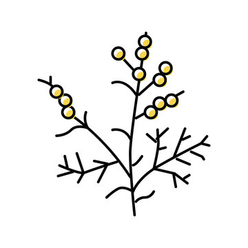 wormwood plant color icon vector illustration