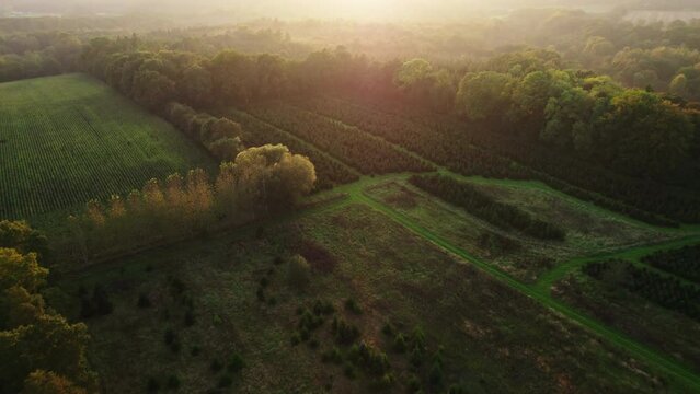 Drone Over Fields And Forest In Autumn At Sunset