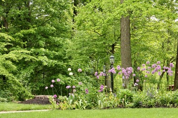 flowers in the garden