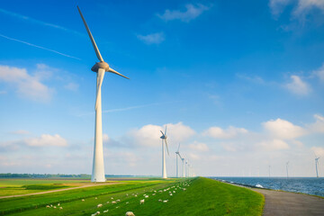 A wind farm for the production of electrical energy. The Netherlands, Europe. Renewable energy...
