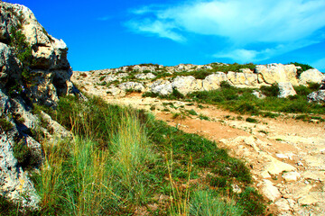 Rugged trail making its way through the rocks of a canyon partly covered by beautiful greenery...
