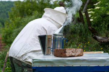 Bee smoker standing on the hive and smoking. Beekeeper is in background and working. A bee smoker...