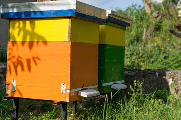 Fototapeta na wymiar Two colorful wooden hives with bees in the apiary on a spring sunny day. Beekiping concept. Close up, selective focus