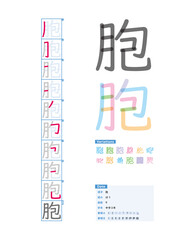 書き順_中学3年_胞（ほう）_Stroke order of Japanese Kanji