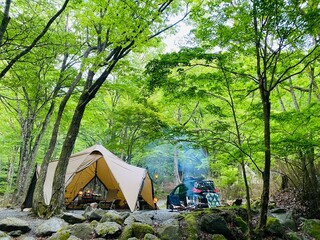 camping in the forest
at yamabushi auto camp field