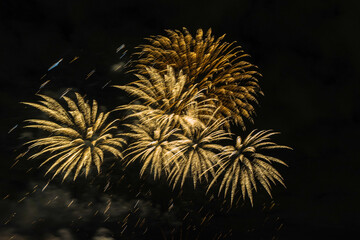 Golden fireworks