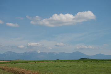 Fototapeta premium 緑の牧草畑と山並み 十勝岳連峰 