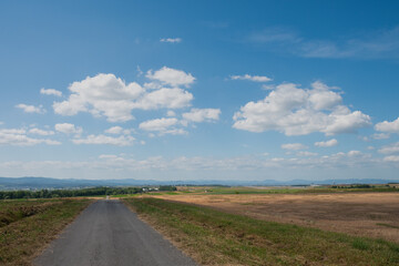 Fototapeta na wymiar 夏の牧草地帯を通る道路 