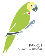 Cute cartoon parrot illustration with bright colors. Vector illustration of parrot on white background. © Angela