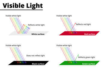 Visible colors from lightwaves on surfaces. Light waves are reflected or absorbed on different surfaces. Vector illustration.