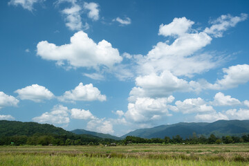 Obraz premium The white clouds have a quaint and rural shape. The sky is cloudy and blue