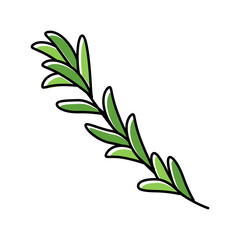 rosemary branch color icon vector illustration