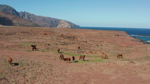 vue a&eacute;rienne de l'ile au chevaux sur l'ile de ua huka en Polyn&eacute;sie fran&ccedil;aise dans l'archipel des marquises 