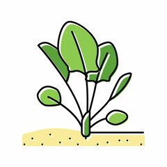 plant spinach growing color icon vector illustration