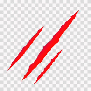 Cat scratches. Animal claws marks in red. Monster or dinosaur attack slash stripes on transparent background. Vector illustration