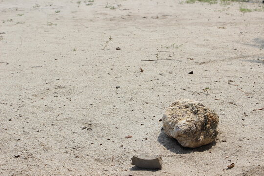 natural lone rock on beach sand
