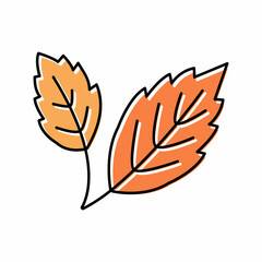 Fototapeta na wymiar autumn leaf color icon vector illustration