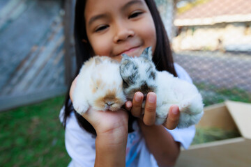 Asian child girl holding cute baby bunny on hand with love and tenderness. Kid and her pet playing...