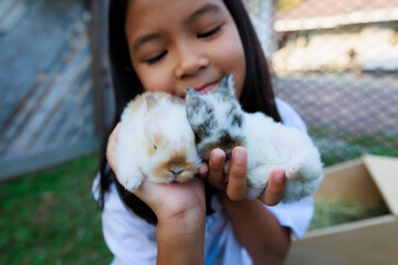 Asian child girl holding cute baby bunny on hand with love and tenderness. Kid and her pet playing...