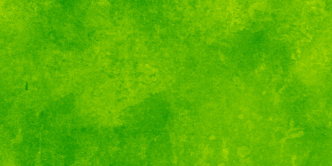 Closeup of green textured wall, vector illustrator