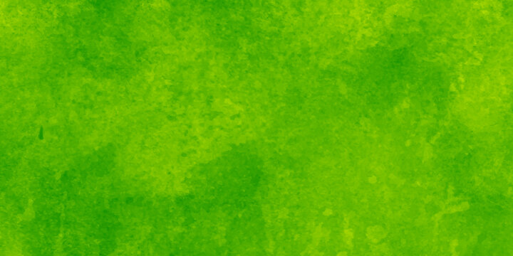 Closeup of green textured wall, vector illustrator