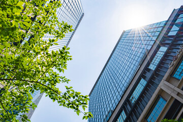 【都市景観】日本橋のビル群