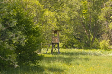 Jagd Hunter Hunting Jäger Jägerin Ansitz Landschaft Grün Wald Feld Wiese Ökologisch Tradition...