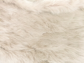 white fur texture close-up abstract beautiful fur background