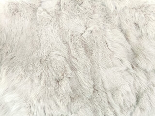 gray white fur texture close-up abstract beautiful fur background