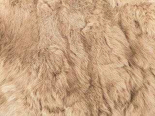 brown fur texture close-up abstract beautiful fur background