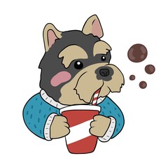 Yorkshire Terrier Dog drinking soda drink cartoon vector illustration