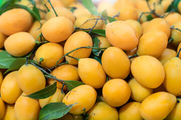 Thai summer fruit Background. Mangosteen, Mayongchid, Marian Plum.