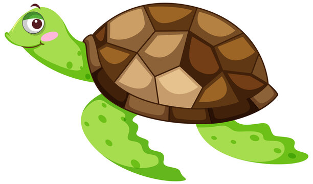 A turtle in cartoon character