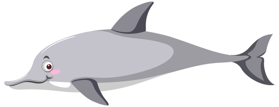 Grey dolphin in cartoon style
