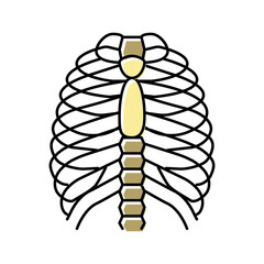 chest bone color icon vector illustration