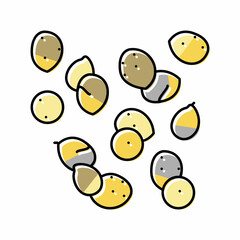 millet seed color icon vector illustration