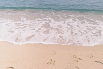 sea