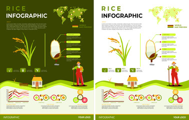 Rice Infographic Illustration Light and Dark