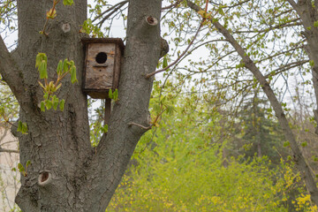 A birdhouse hanging from a tree in the park