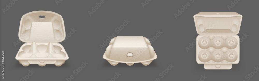 Poster carton egg tray, blank box package mock up. vector realistic mockup of 3d empty open and closed card