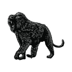 baboon illustration isolated on background	