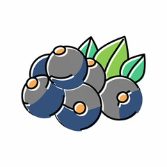 currant berry color icon vector illustration