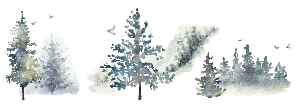 Watercolor hand drawn forest set with delicate illustration of coniferous trees spruce, fir, pine, foggy landscapes silhouette, birds. Compositions isolated on a white background. Woodland collection